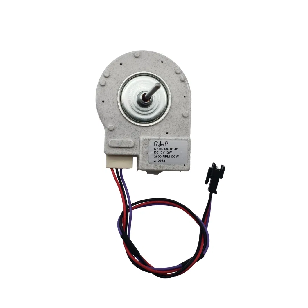 Ruijp Direct Manufacturer Factory Wholesale Freezer External Cooling Single Phase Excellent Performance Electric 12V Brushless DC Motor